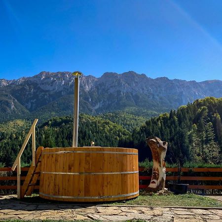 Panorama Pietrei Craiului Hotel Zarnesti Luaran gambar