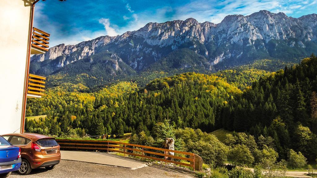 Panorama Pietrei Craiului Hotel Zarnesti Luaran gambar